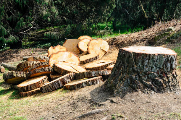 Mulching Services in Willard, UT